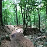 Nyaraló Little Roua Ardenne 4 Pers *