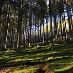 Little Roua Ardenne 4 Pers *