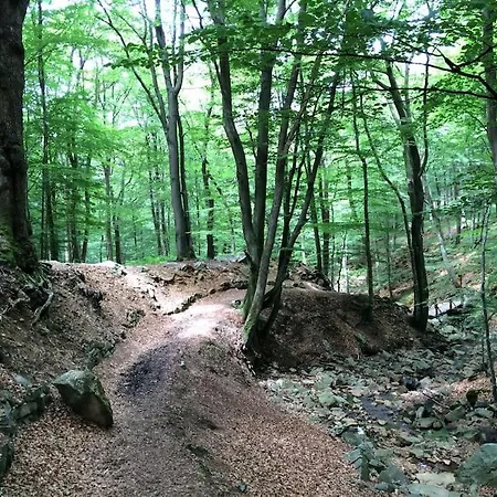 Feriehus Little Roua Ardenne 4 Pers *