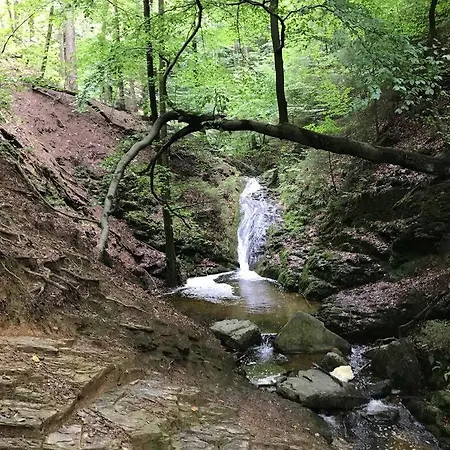 Tatil Evi Little Roua Ardenne 4 Pers