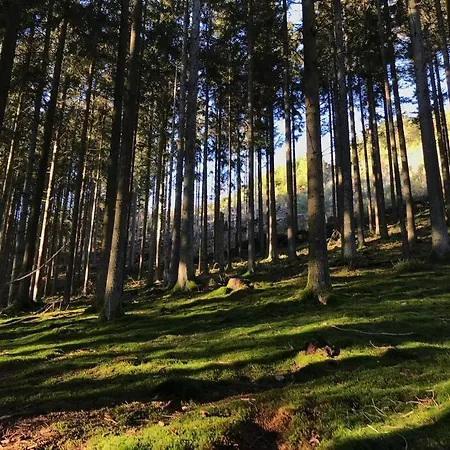 Little Roua Ardenne 4 Pers *