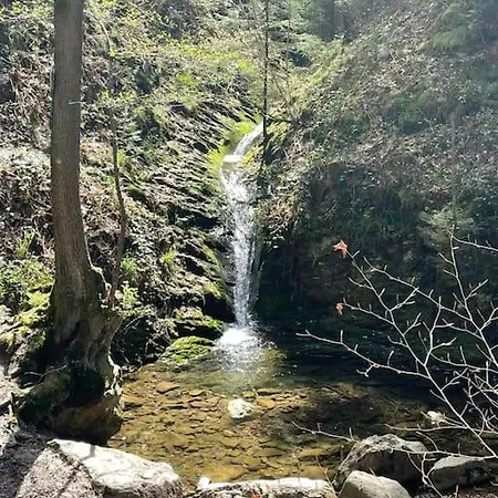 Little Roua Ardenne 4 Pers Tatil Evi