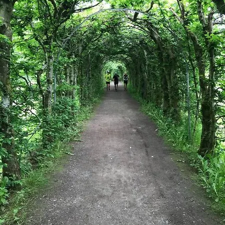 Little Roua Ardenne 4 Pers Tatil Evi *