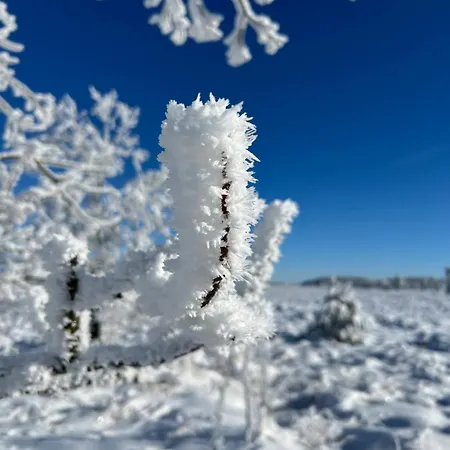 Tatil Evi Little Roua Ardenne 4 Pers Stoumont