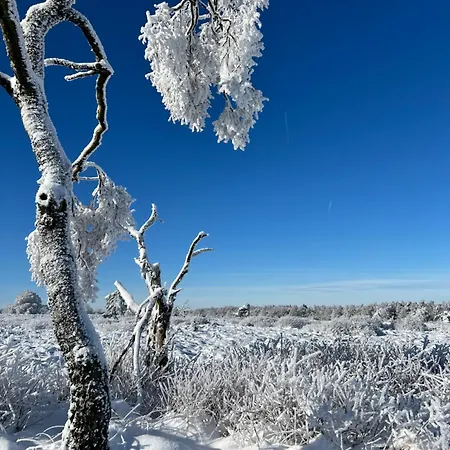 Little Roua Ardenne 4 Pers