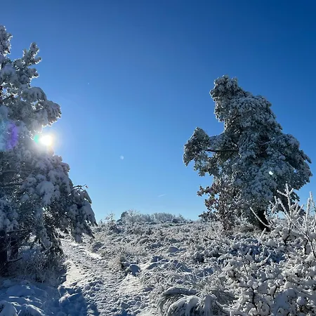 Little Roua Ardenne 4 Pers Tatil Evi *