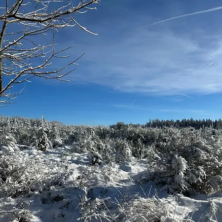 Little Roua Ardenne 4 Pers * Stoumont