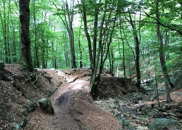 度假居 Little Roua Ardenne 4 Pers *