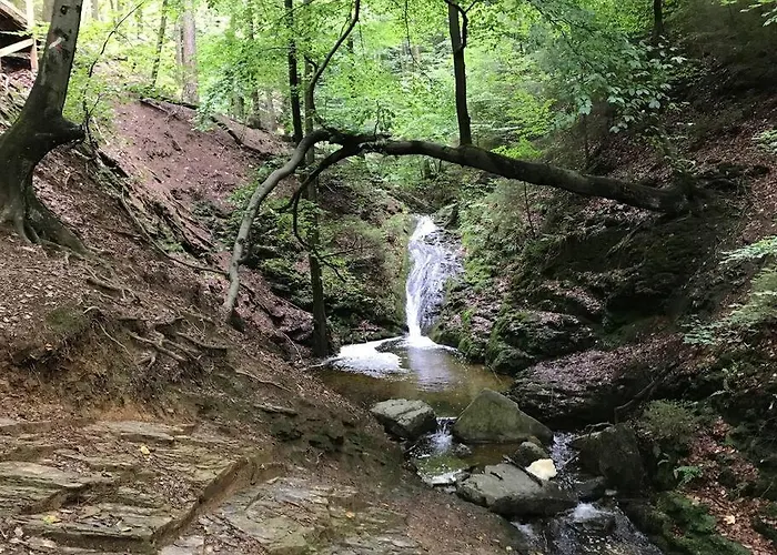 度假居 Little Roua Ardenne 4 Pers