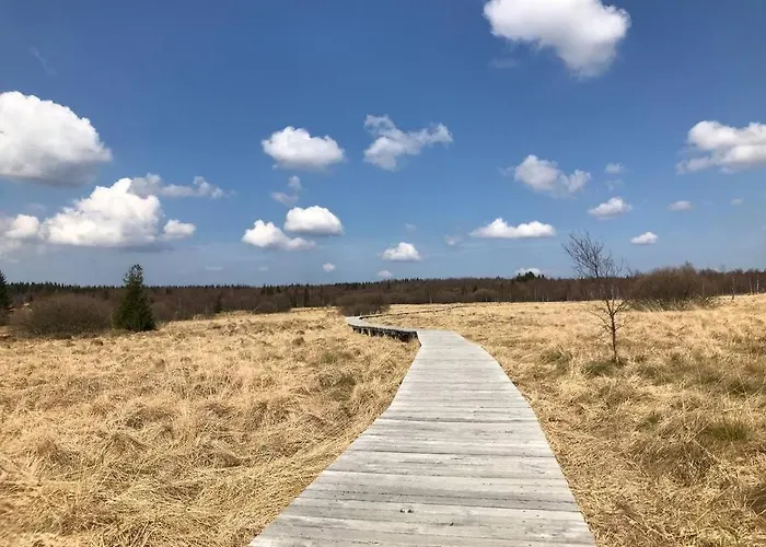 Little Roua Ardenne 4 Pers 度假居 *