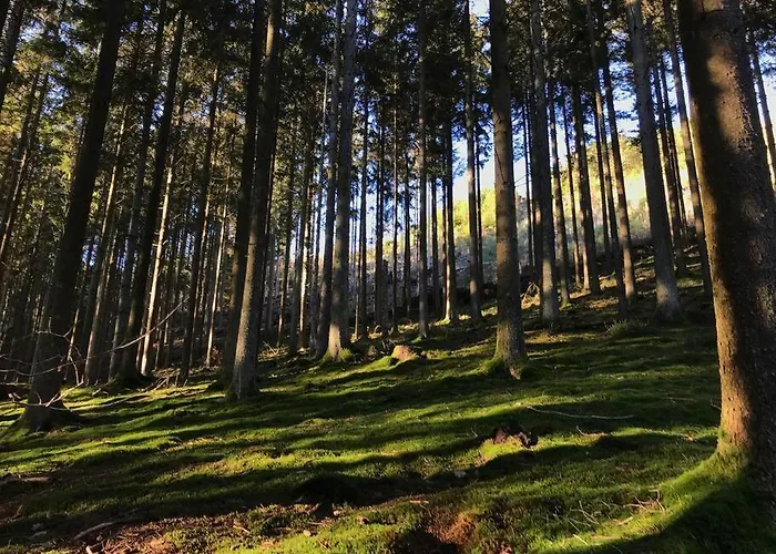 Little Roua Ardenne 4 Pers *