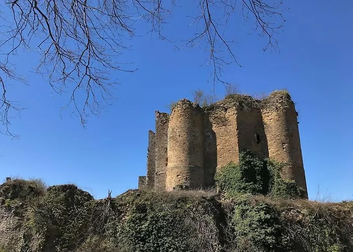 Little Roua Ardenne 4 Pers 度假居 *