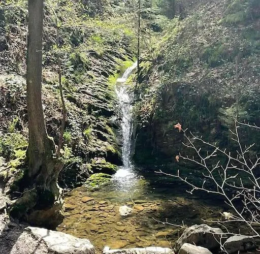 Little Roua Ardenne 4 Pers 度假居