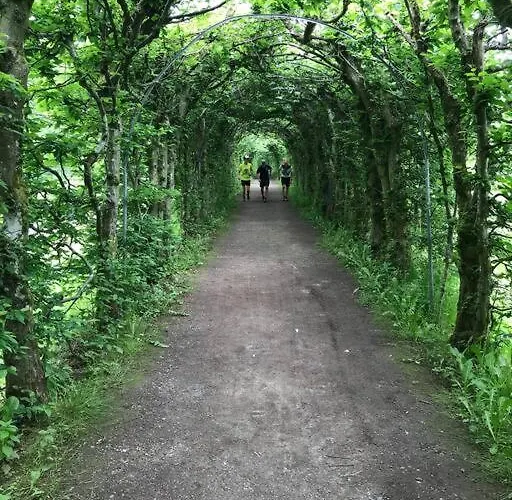 Little Roua Ardenne 4 Pers 度假居 *