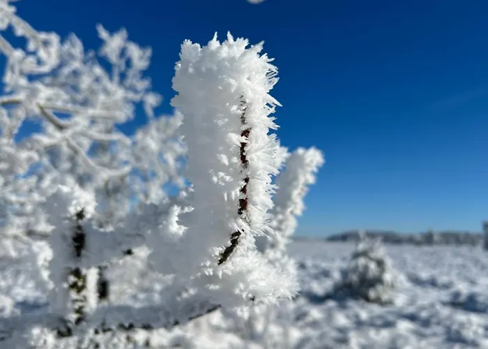 度假居 Little Roua Ardenne 4 Pers 斯图蒙