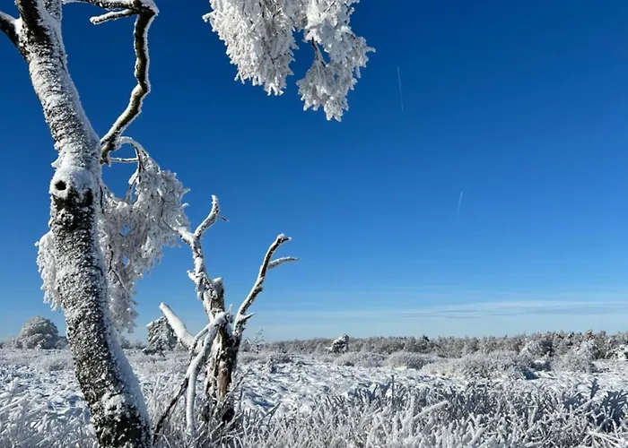 Little Roua Ardenne 4 Pers