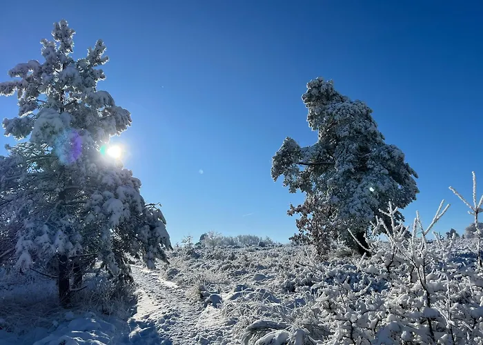 Little Roua Ardenne 4 Pers 度假居 *