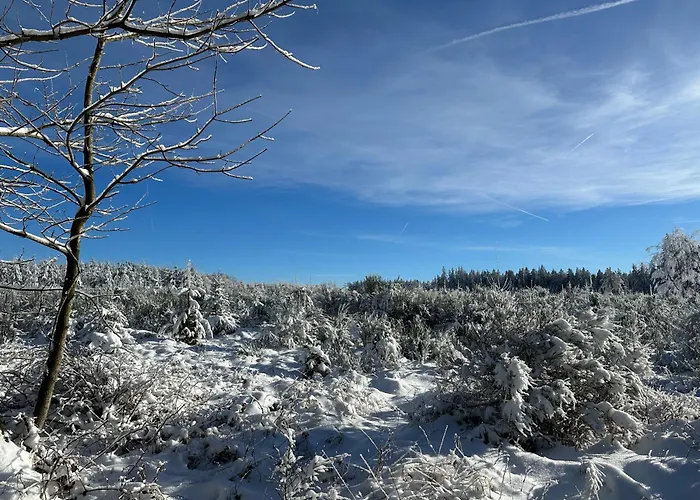 Little Roua Ardenne 4 Pers * 斯图蒙